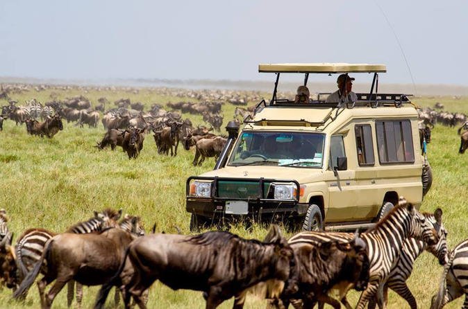 DaysSerengetiWildlifesafari
